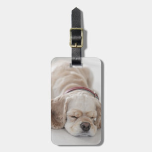 Cocker spaniel dog sleeping luggage tag