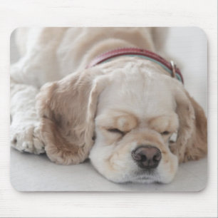 Cocker spaniel dog sleeping mouse mat