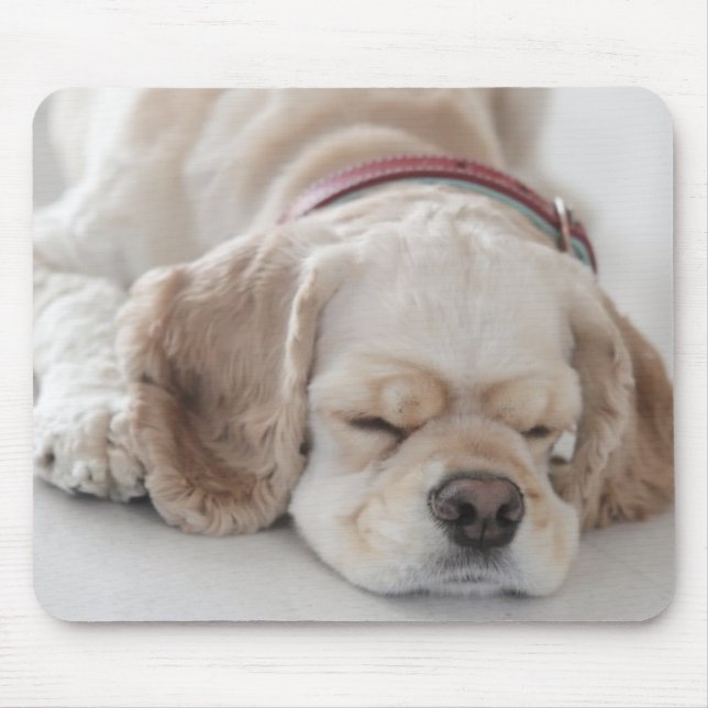 Cocker spaniel dog sleeping mouse mat (Front)