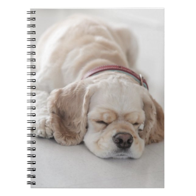 Cocker spaniel dog sleeping notebook (Front)