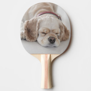 Cocker spaniel dog sleeping ping pong paddle