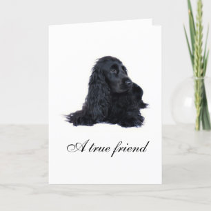 Cocker Spaniel friendship Card