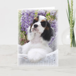Cocker Spaniel Greeting card