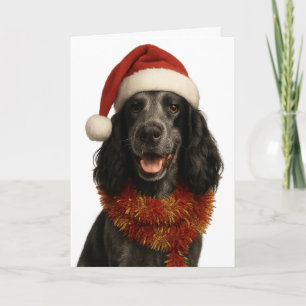 Cocker Spaniel Happy Christmas card