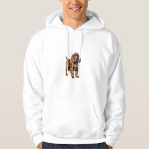 Cocker Spaniel Hoodie Dual image Design