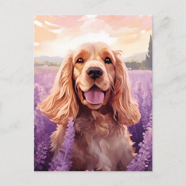 Cocker Spaniel in Lavender field Postcard (Front)