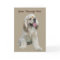 Cocker Spaniel Irresistible Greeting Card