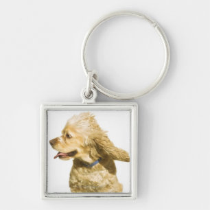 Cocker Spaniel Key Ring