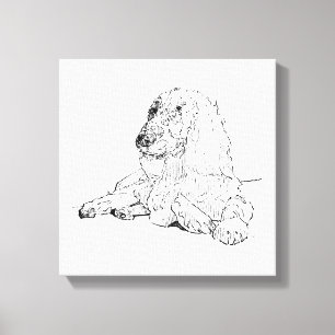 Cocker Spaniel Line Drawing Art Dog Canvas Print