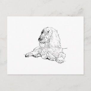 Cocker Spaniel Line Drawing Art Dog  Postcard