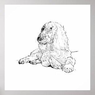 Cocker Spaniel Line Drawing Art Dog Poster