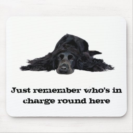 Image of Cocker Spaniel Mouse Mat