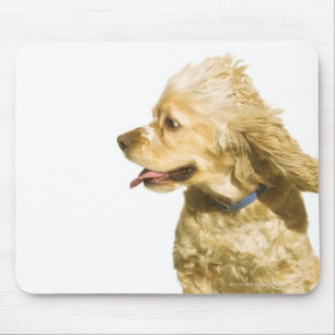 Cocker Spaniel Mouse Mat