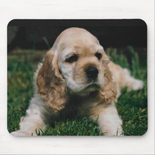 cocker spaniel mouse pad