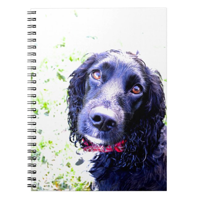 Cocker Spaniel Notebook (Front)