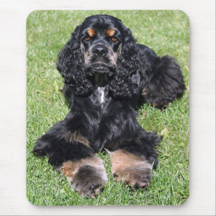 Cocker Spaniel Photo Mouse Mat