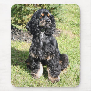 Cocker Spaniel Photo Mouse Mat