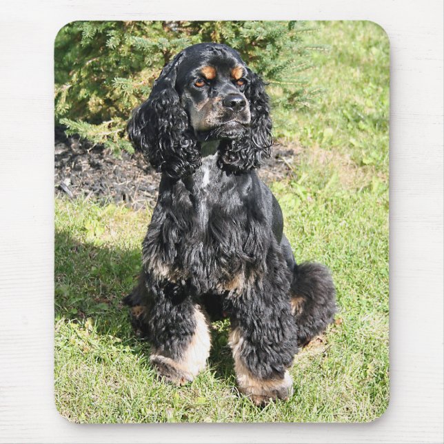 Cocker Spaniel Photo Mouse Mat (Front)