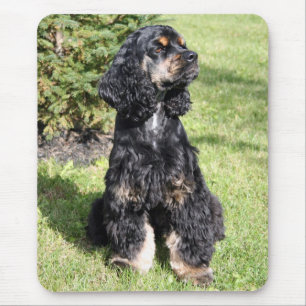 Cocker Spaniel Photo Mouse Mat