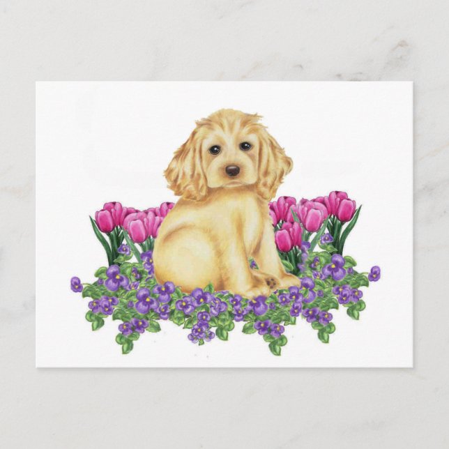 Cocker Spaniel Postcard (Front)