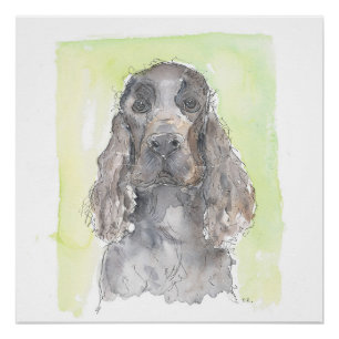 Cocker Spaniel Poster
