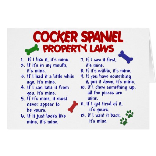Image of COCKER SPANIEL Property Laws 2