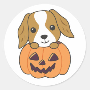 Cocker Spaniel Pumpkin Cute Dogs Happy Halloween C Classic Round Sticker