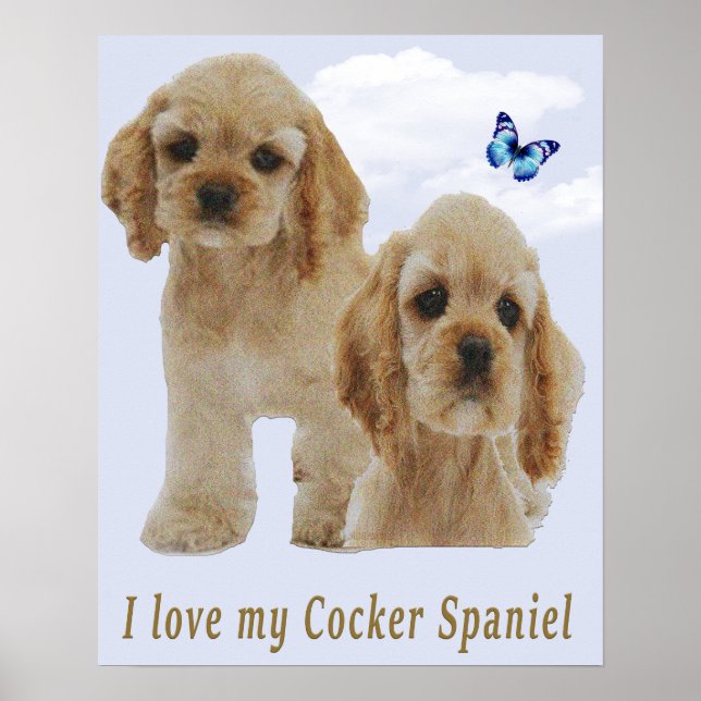 Cocker spaniel puppies poster (Front)