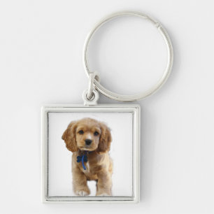 Cocker spaniel puppy keychain