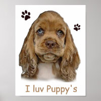 Cocker spaniel puppy  poster