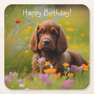 Cocker Spaniel  Square Paper Coaster