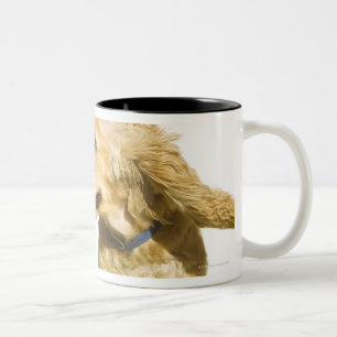 Cocker Spaniel Two-Tone Coffee Mug