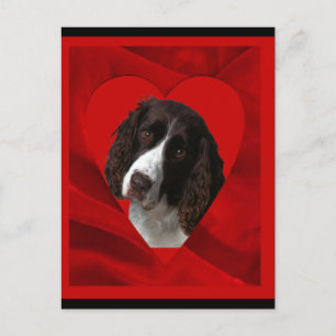Cocker Spaniel Valentine Holiday Postcard