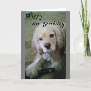 COCKER SPANIEL WITH BEER-HAPPY **21st BIRTHDAY** Card