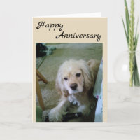 COCKER SPANIEL WITH BEER-HAPPY ANNIVERSARY