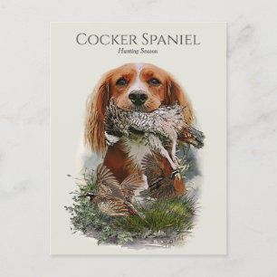 Cocker Spaniel with Grey partridge Postcard
