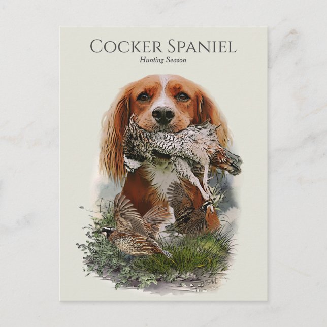 Cocker Spaniel with Grey partridge Postcard (Front)