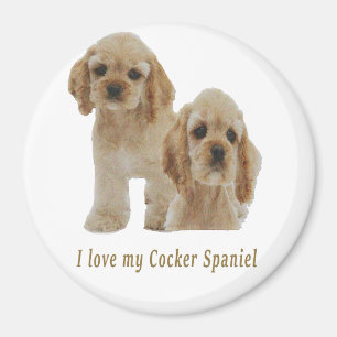 cocker spaniels magnet