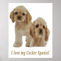 cocker spaniels