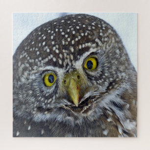 Cockeyed Owl Jigsaw Puzzle