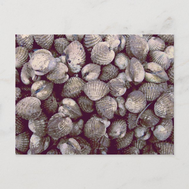 Cockles Postcard (Front)