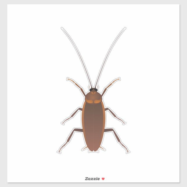 Cockroach Insect (Sheet)