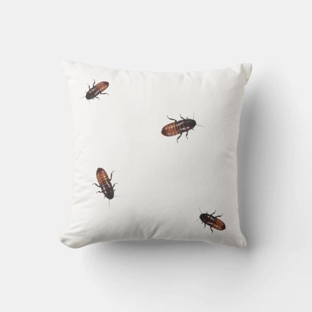 Cockroach Invasion Cushion (Front)
