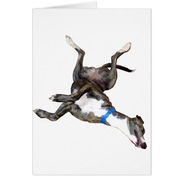 Cockroaching (Front)