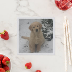 Cocktail Napkins - Festive Golden Retriever Puppy