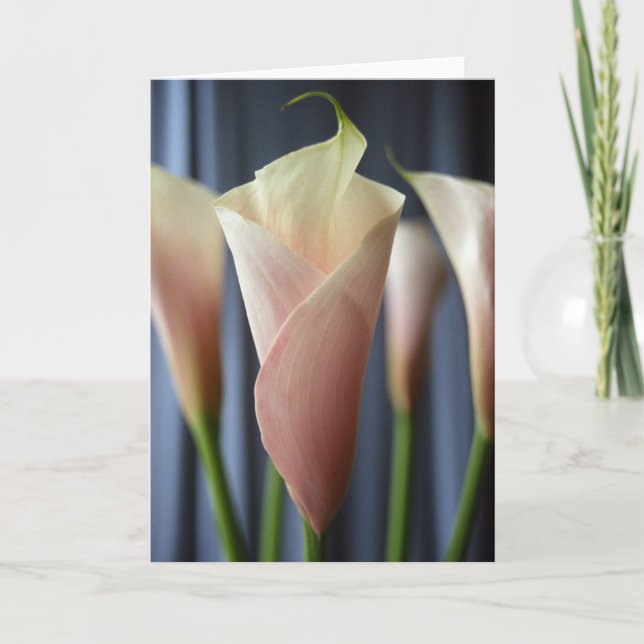 Cocktail Party Lily Greeting Card (Front)