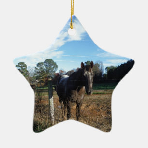 Coco and Cream brown horse Ceramic Tree Decoration