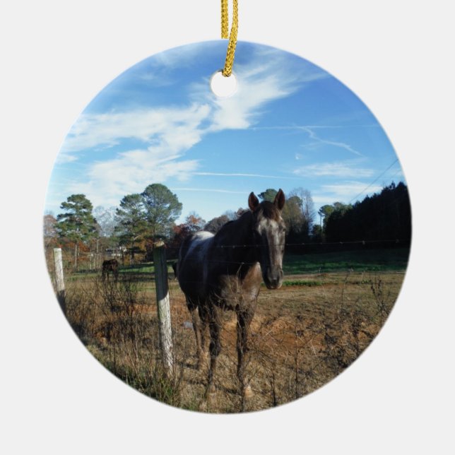 Coco and Cream brown horse Ceramic Tree Decoration (Front)