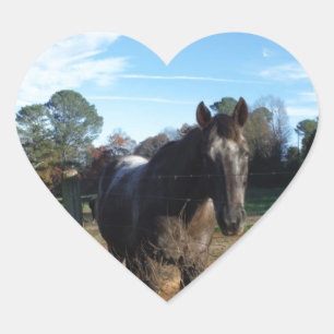 Coco and Cream brown horse Heart Sticker