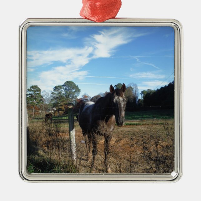 Coco and Cream brown horse Metal Tree Decoration (Front)